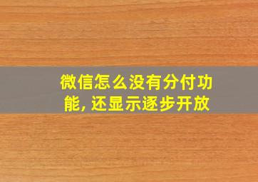 微信怎么没有分付功能, 还显示逐步开放